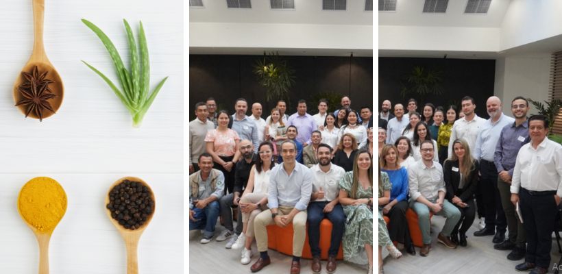 Rueda de conexiones BIO IN Biointropic